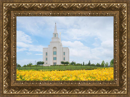 Blue and Gold Kansas City