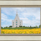 Blue and Gold Kansas City