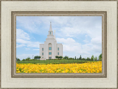 Blue and Gold Kansas City