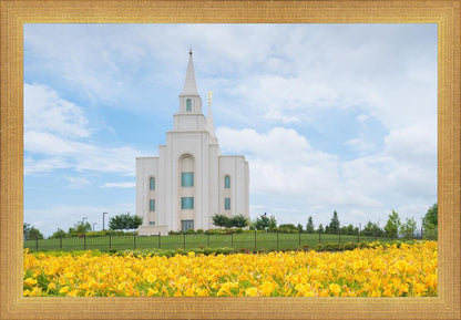 Blue and Gold Kansas City