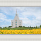 Blue and Gold Kansas City