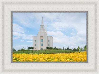 Blue and Gold Kansas City