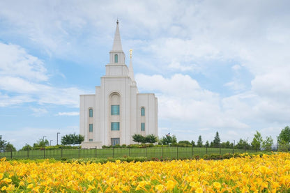 Blue and Gold Kansas City
