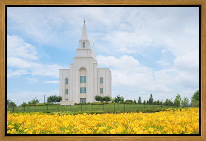 Blue and Gold Kansas City