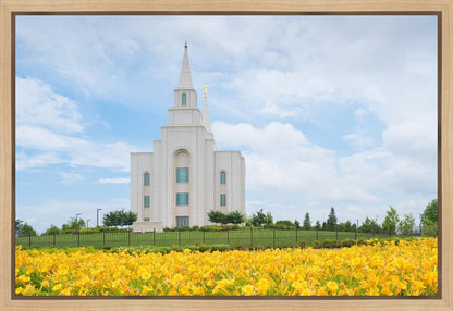 Blue and Gold Kansas City