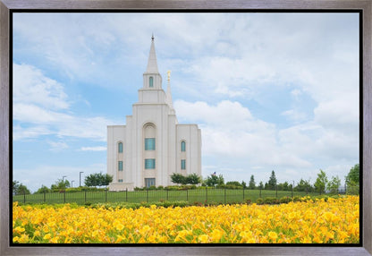 Blue and Gold Kansas City
