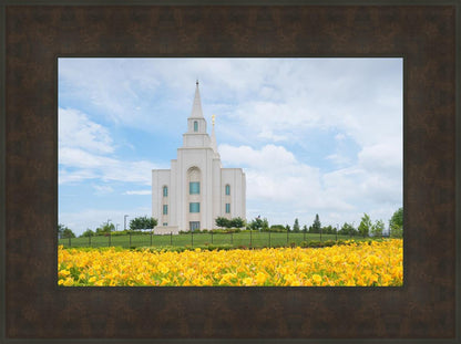 Blue and Gold Kansas City