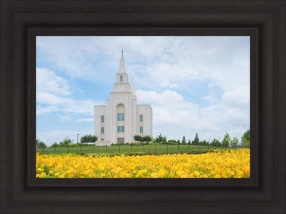 Blue and Gold Kansas City