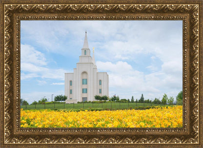 Blue and Gold Kansas City