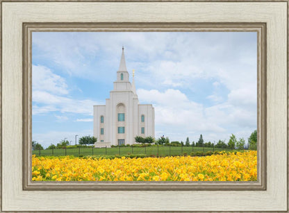 Blue and Gold Kansas City