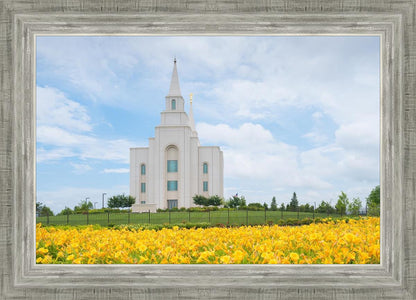 Blue and Gold Kansas City