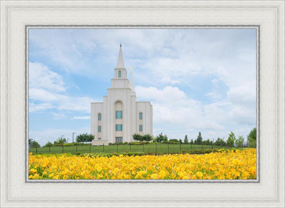 Blue and Gold Kansas City