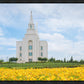 Blue and Gold Kansas City