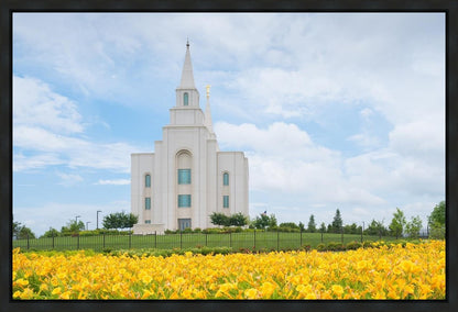 Blue and Gold Kansas City
