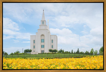 Blue and Gold Kansas City