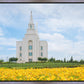 Blue and Gold Kansas City