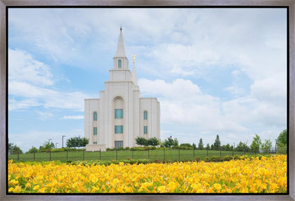Blue and Gold Kansas City