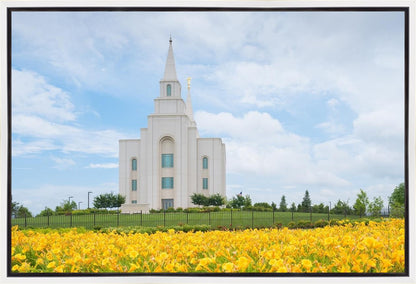 Blue and Gold Kansas City