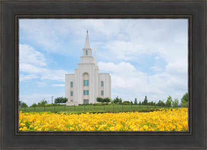 Blue and Gold Kansas City