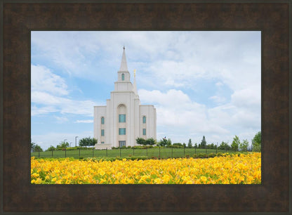 Blue and Gold Kansas City