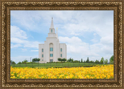 Blue and Gold Kansas City