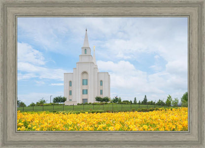 Blue and Gold Kansas City