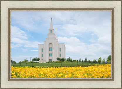 Blue and Gold Kansas City