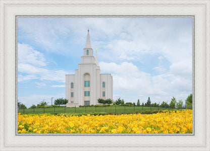 Blue and Gold Kansas City