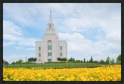 Blue and Gold Kansas City