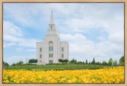 Blue and Gold Kansas City
