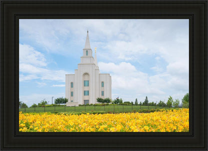 Blue and Gold Kansas City