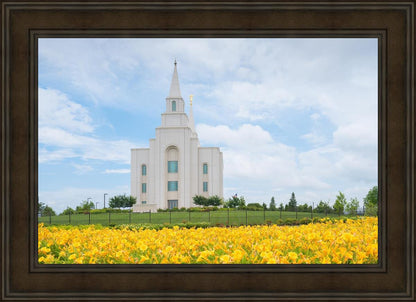 Blue and Gold Kansas City