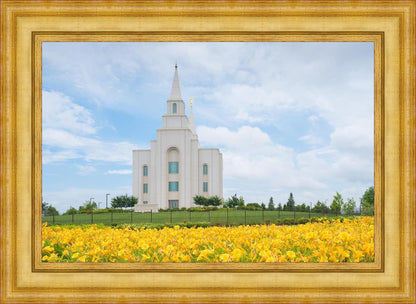 Blue and Gold Kansas City