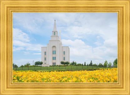 Blue and Gold Kansas City