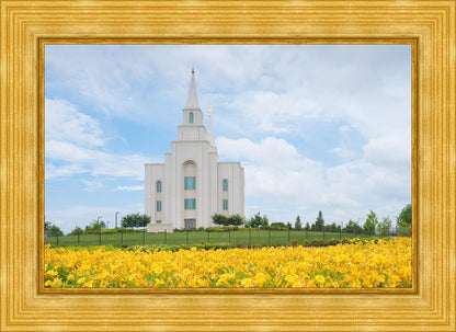 Blue and Gold Kansas City