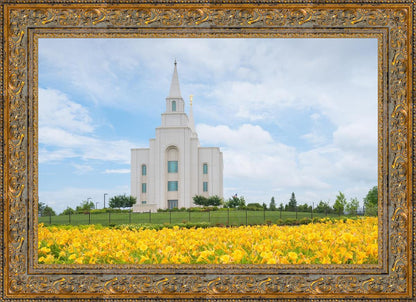 Blue and Gold Kansas City