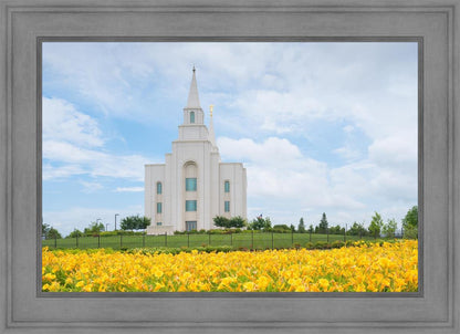 Blue and Gold Kansas City