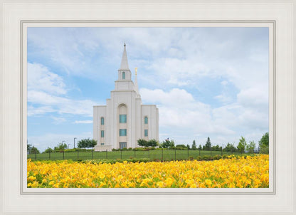 Blue and Gold Kansas City