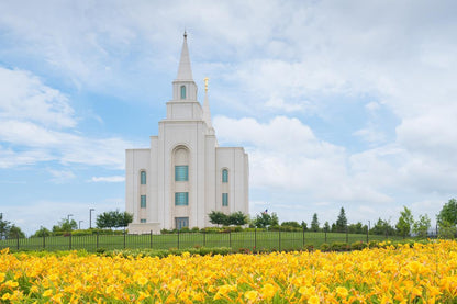 Blue and Gold Kansas City
