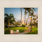 Kona Temple Grounds