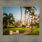 Kona Temple Grounds