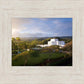 Laie Island Glow