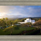Laie Island Glow