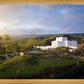 Laie Island Glow