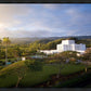 Laie Island Glow