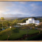 Laie Island Glow
