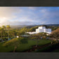 Laie Island Glow