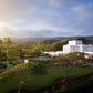 Laie Island Glow