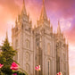 Salt Lake Tulips