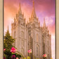 Salt Lake Tulips